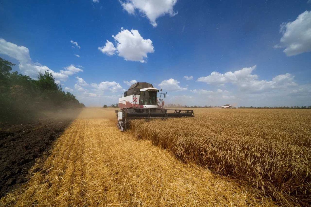 В агрохолдинге «Степь» стартовала уборочная кампания – из-за дождей немного позже ожидаемых сроков. Первыми к работе приступили хозяйства компании в…