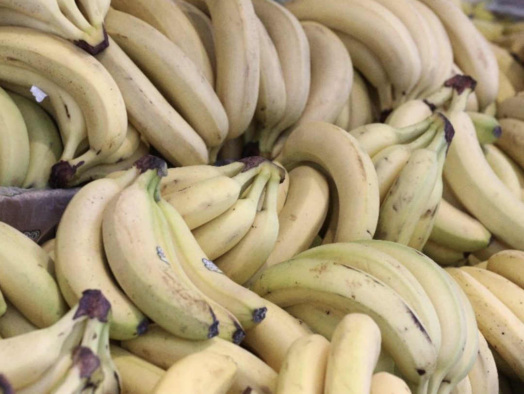 Компания «ПлодоВитта» (ранее – «Генгрупп Рус») планирует построить в Ставропольском крае в пригороде Невинномысска тепличный комплекс площадью 45,9 га для…