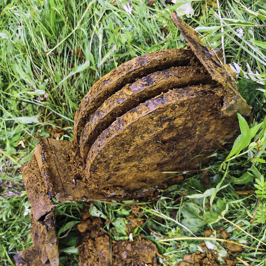 Подо Ржевом, где каждый клочок земли хранит следы Великой Отечественной войны, до сих пор покоятся бойцы, так и не вернувшиеся домой. Найти и опознать их…