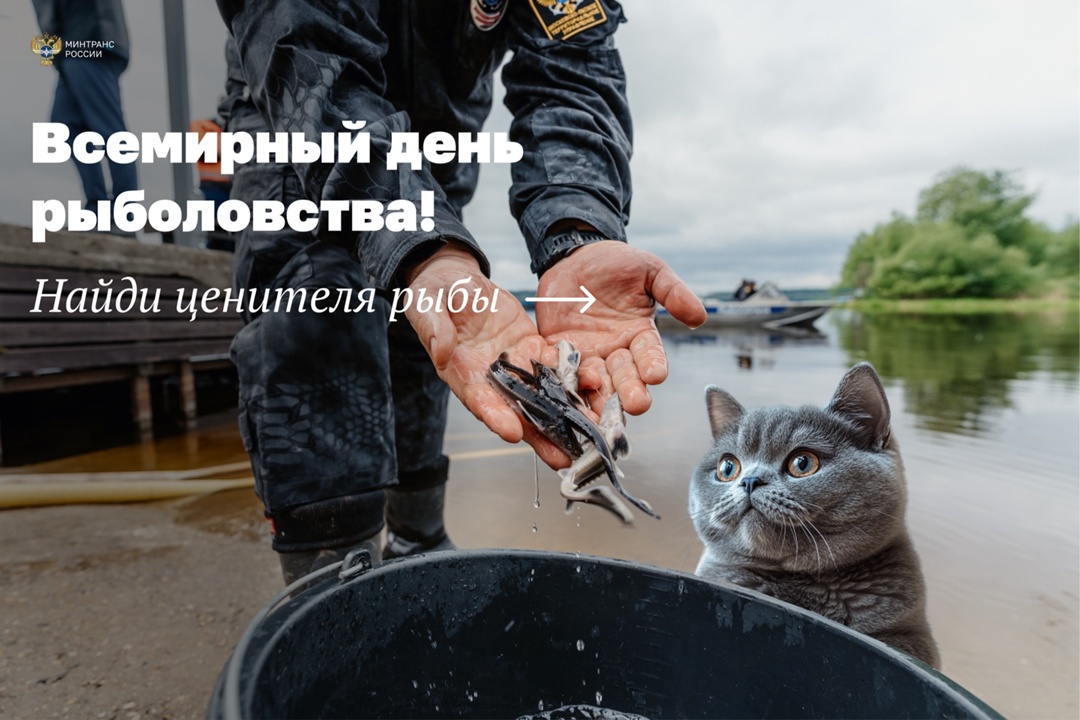 Как связано строительство трасс и ловля рыбы?