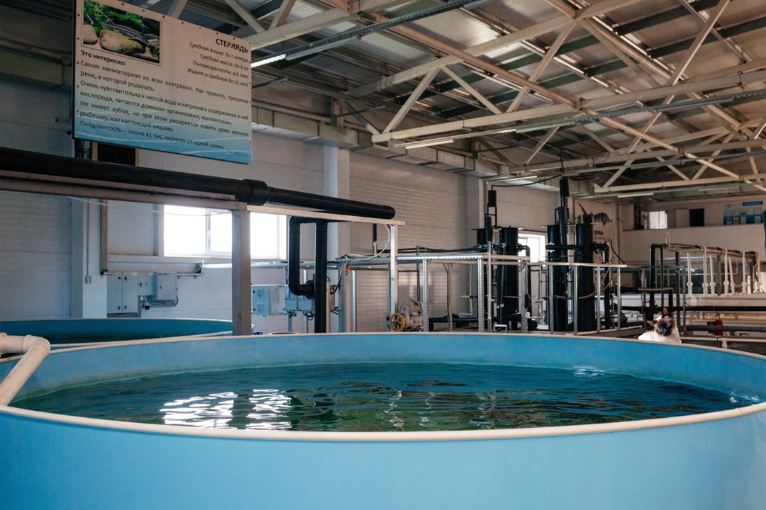 Как связано строительство трасс и ловля рыбы?