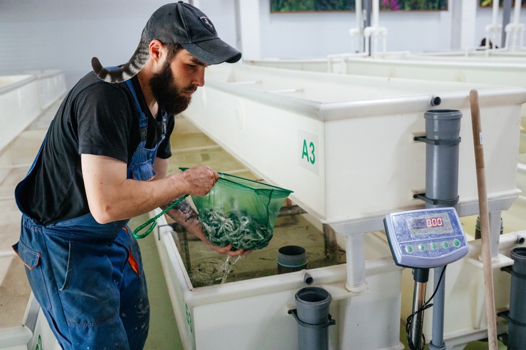 Как связано строительство трасс и ловля рыбы?