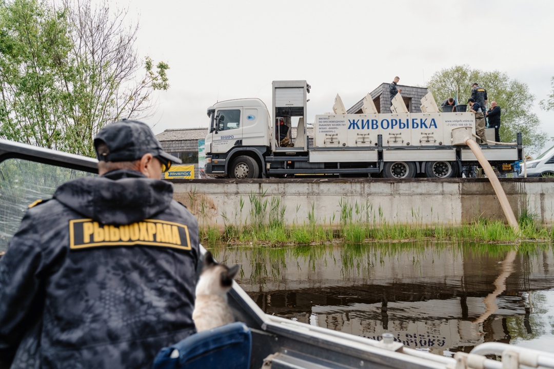 Как связано строительство трасс и ловля рыбы?