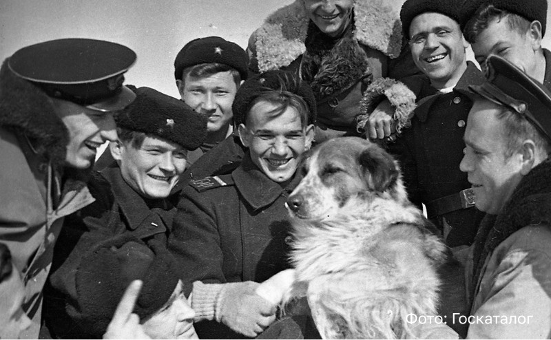 «Отстоим Волгу-матушку!» : вклад речников в Победу обсудили на заседании Российского общества историков транспорта