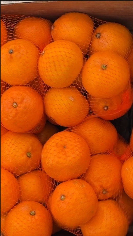 «Свежая идея» порадовала всех Сегодня на ММК прошла самая сочная акция этого лета — «Свежая идея»