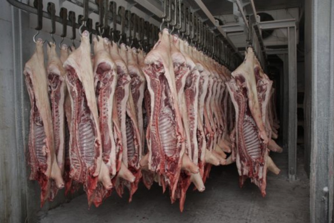 С 1 июля на Национальной товарной бирже начнутся биржевые торги свиными полутушами 2 категории, заказчиком которых выступает ГК «Русагро», сообщила ФАС