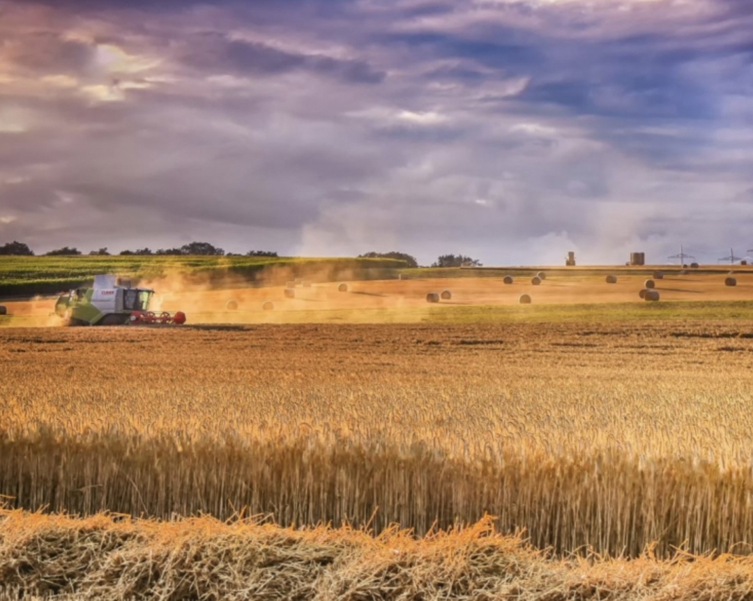 Самое интересное за июнь В июне в России началась уборка урожая, ЦБ понизил ключевую ставку, Минсельхоз сделал прогноз по сбору зерна, а компании заявляли…
