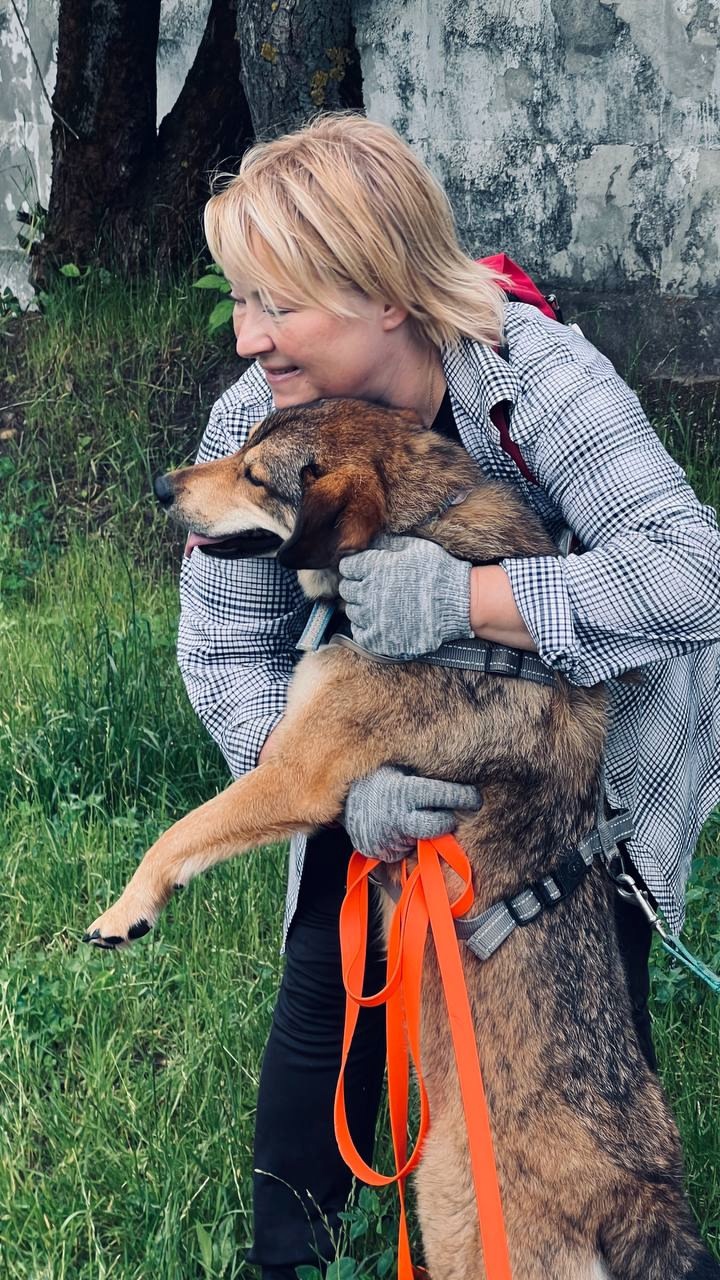 Для добрых дел не нужен повод Наши энергичные волонтеры приехали к питомцам приюта для собак в Бирюлёво. И как всегда — не с пустыми руками!