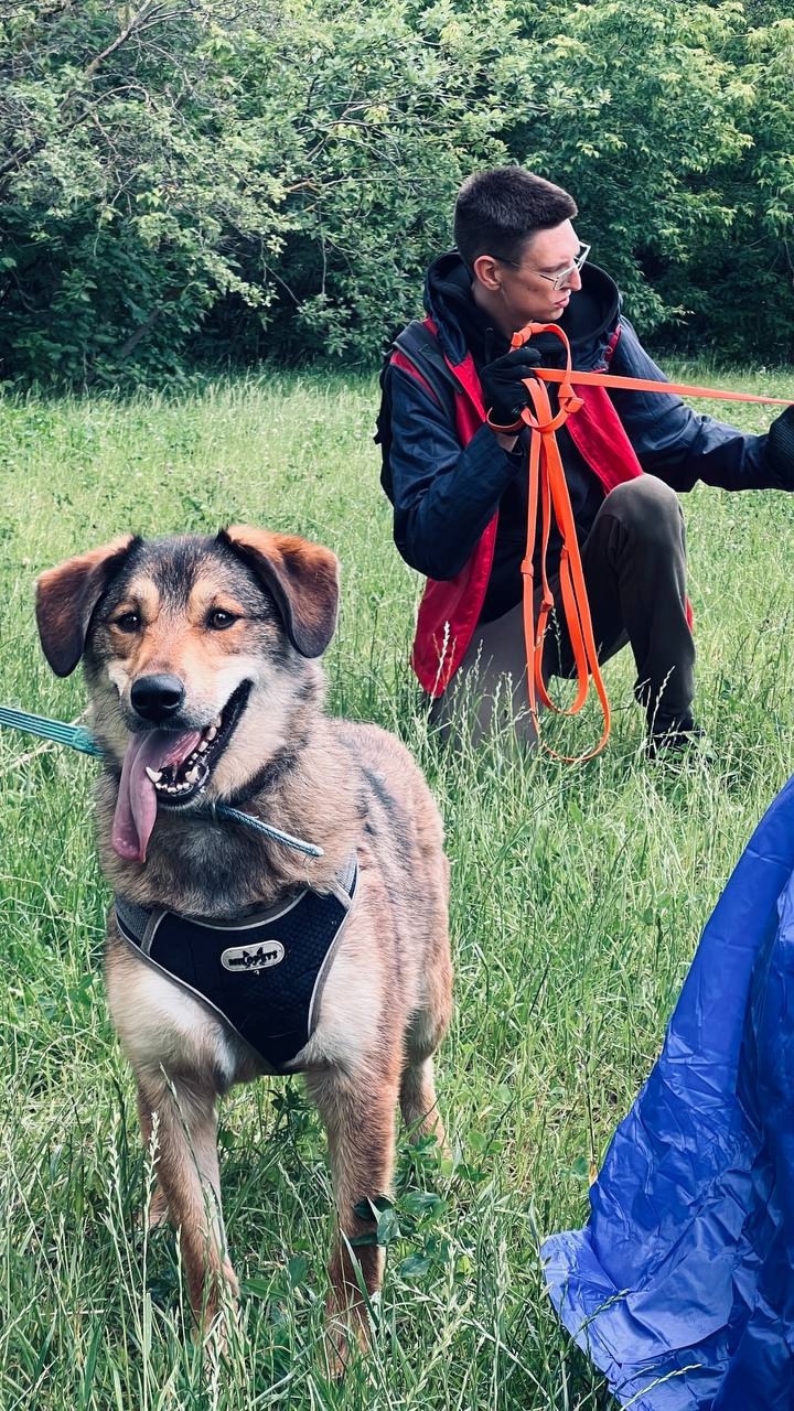 Для добрых дел не нужен повод Наши энергичные волонтеры приехали к питомцам приюта для собак в Бирюлёво. И как всегда — не с пустыми руками!