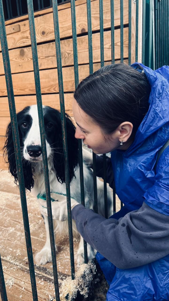 Для добрых дел не нужен повод Наши энергичные волонтеры приехали к питомцам приюта для собак в Бирюлёво. И как всегда — не с пустыми руками!
