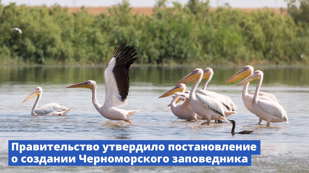 Правительство утвердило постановление о создании Черноморского заповедника