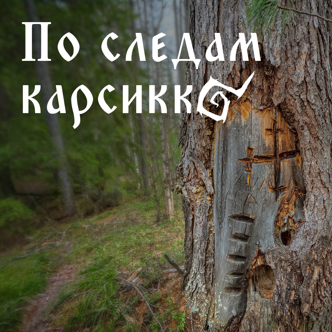 Тем, кто умел читать знаки, лес мог рассказать многое: о сакральных местах, о важных событиях и даже о навигации