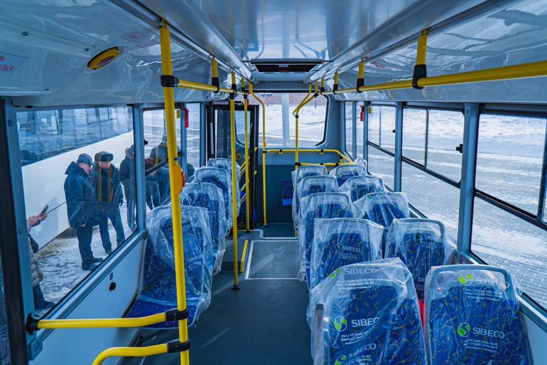 Самая яркая звезда в созвездии Лиры — уже на дорогах России