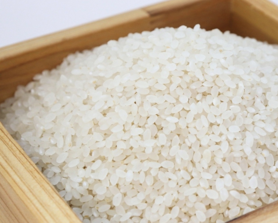 Правительство установило квоту на экспорт риса и рисовой крупы объемом 50 тыс. т на период с 1 июля по 31 декабря 2025 года. Рис, вывозимый вне квоты, будет…