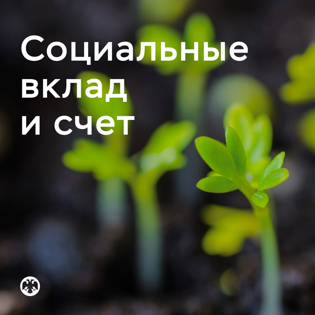 Граждане с невысокими доходами теперь могут оформить соцсчет и соцвклад