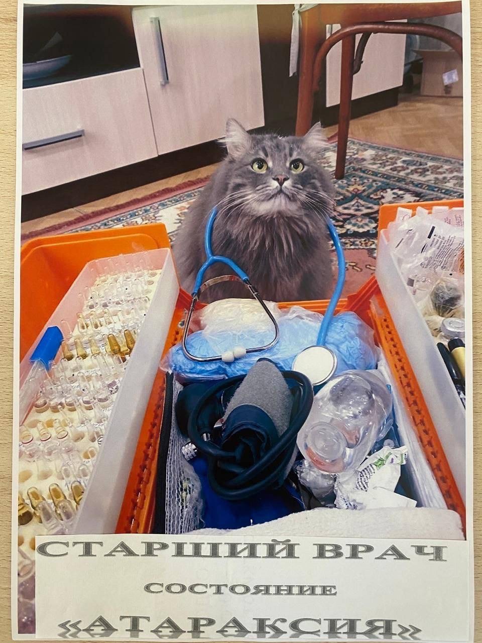 Пушистые антистрессы Воронежской станции скорой помощи