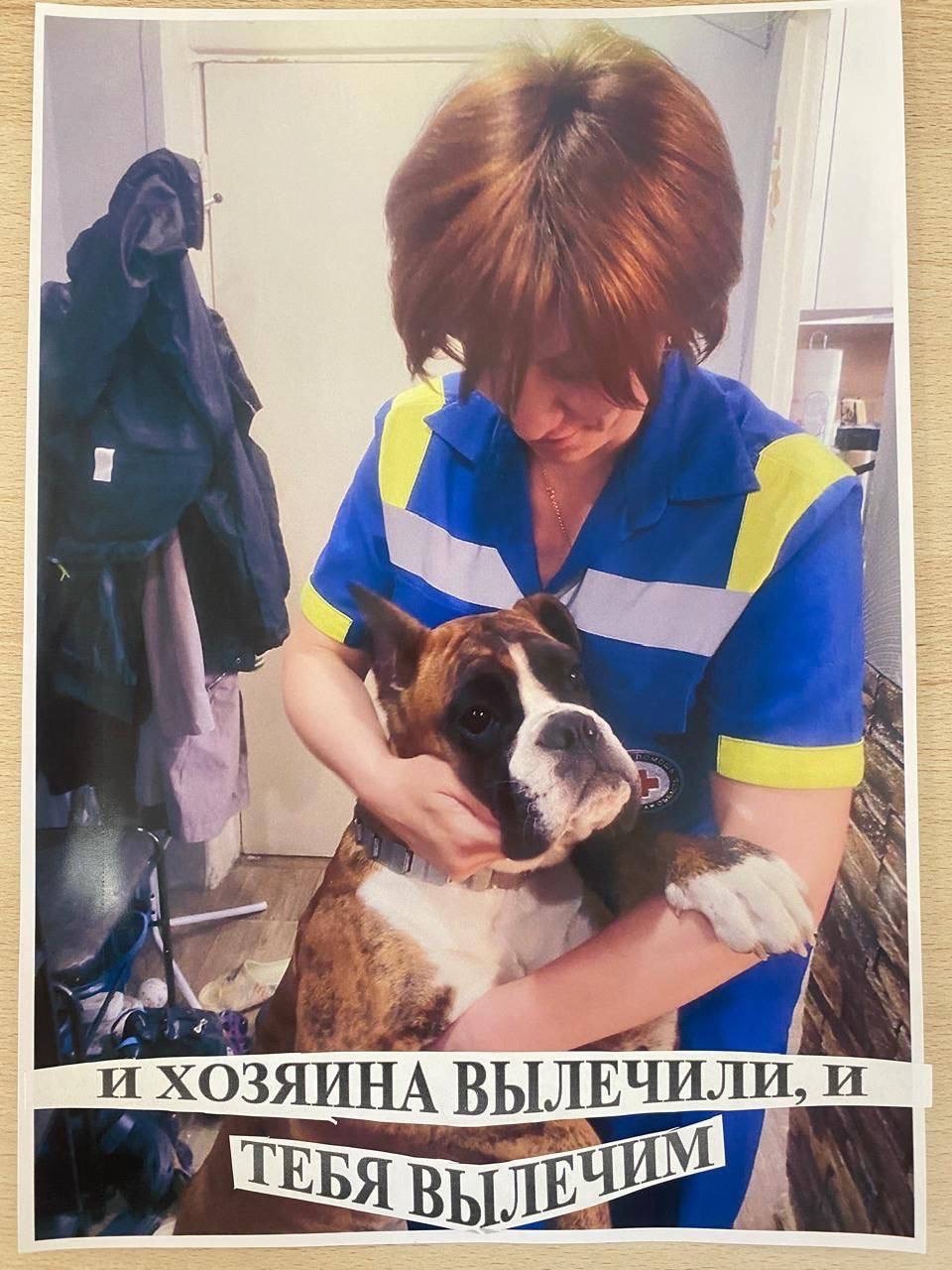 Пушистые антистрессы Воронежской станции скорой помощи