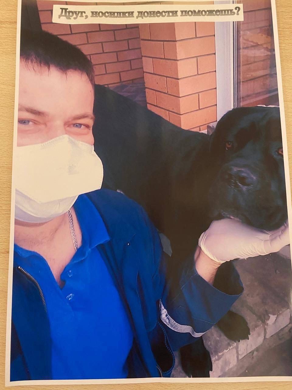 Пушистые антистрессы Воронежской станции скорой помощи