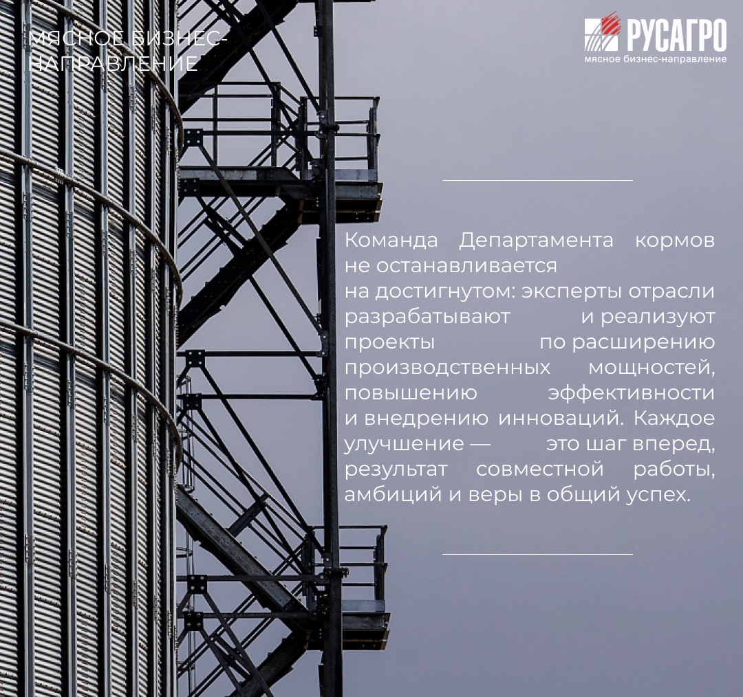 В 2025 году Мясной бизнес «Русагро» отмечает 15-летие — важную дату в истории развития крупнейшего агрохолдинга страны