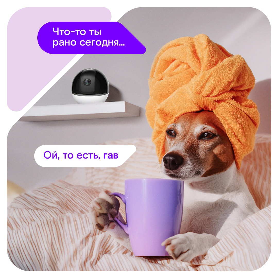 Поздравляем с Днём собак! Хотя у владельцев хвостатых такой праздник ежедневно.