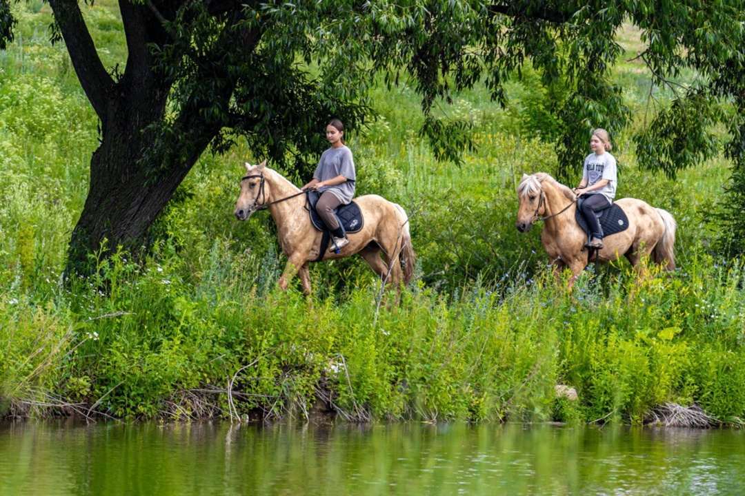 Что общего у нефтяной скважины-качалки и лошади татарской породы?
