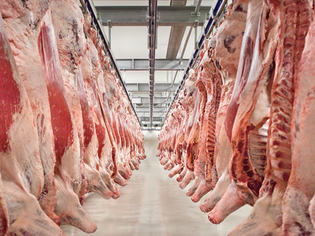 «Мираторг» за 15 лет работы в Курской области инвестировал в развитие предприятий 138,3 млрд руб