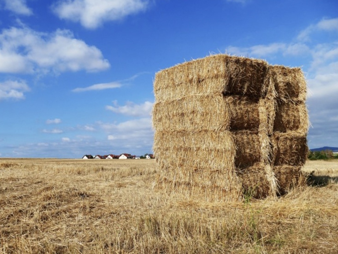 Самое интересное за неделю с 30 июня по 6 июля