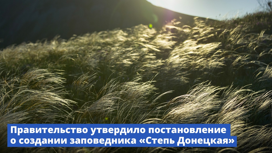 Правительство утвердило постановление о создании заповедника «Степь Донецкая»