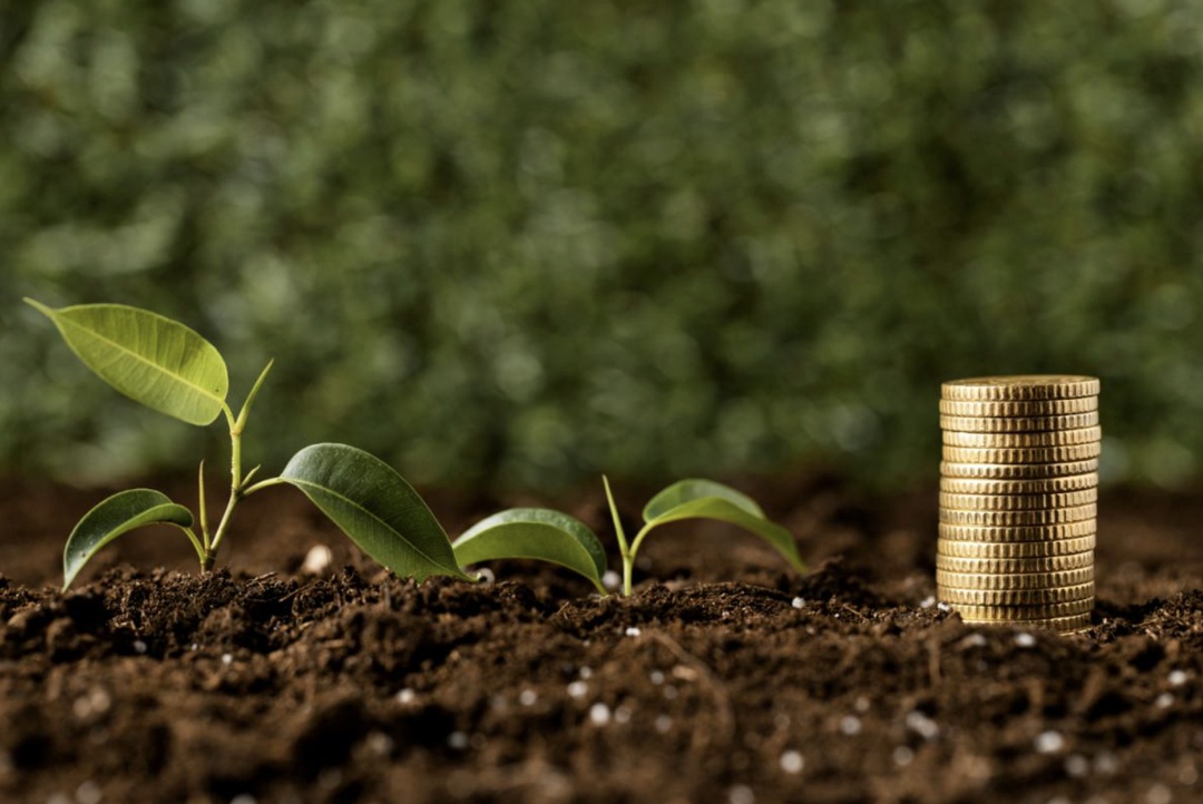 В следующем году Минсельхоз надеется сохранить господдержку малого агробизнеса на уровне 2024-2025 годов – 15 млрд руб., сказала глава ведомства Оксана Лут на…