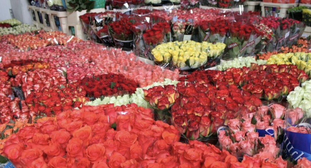 Россия в 2025 году может повысить пошлину на ввоз цветов из недружественных стран, сказала министр сельского хозяйства Оксана Лут на форуме по развитию малого…