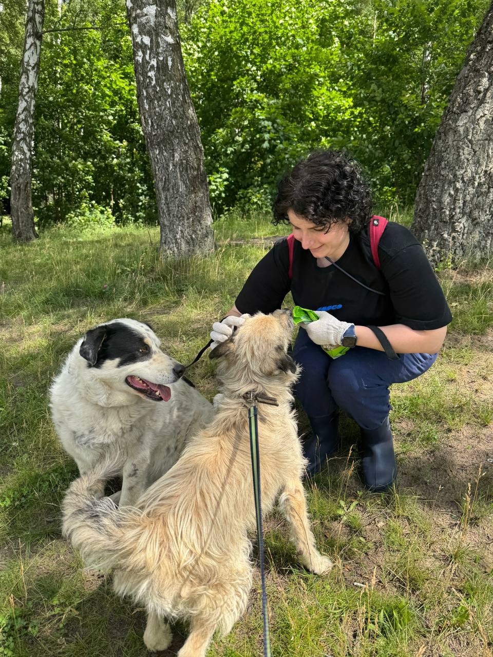 Есть безотказный способ перезагрузиться перед началом рабочей недели – навестить хвостиков в приюте!
