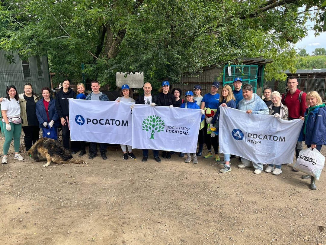 Есть безотказный способ перезагрузиться перед началом рабочей недели – навестить хвостиков в приюте!