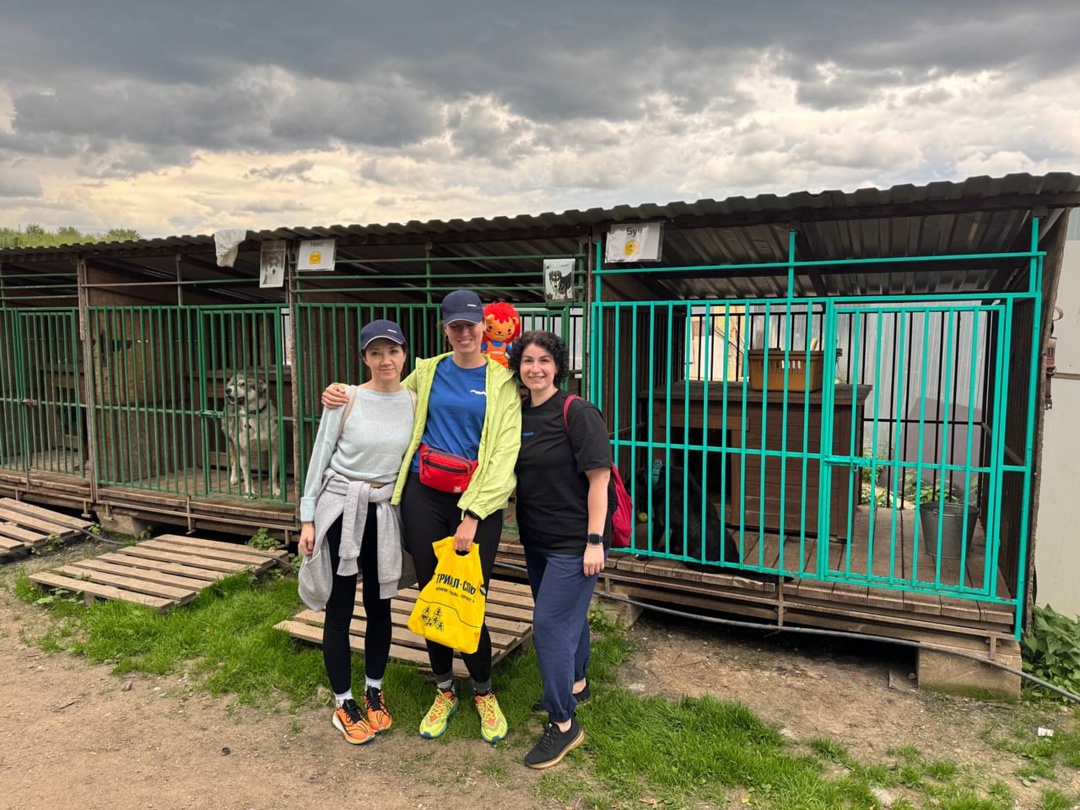 Есть безотказный способ перезагрузиться перед началом рабочей недели – навестить хвостиков в приюте!