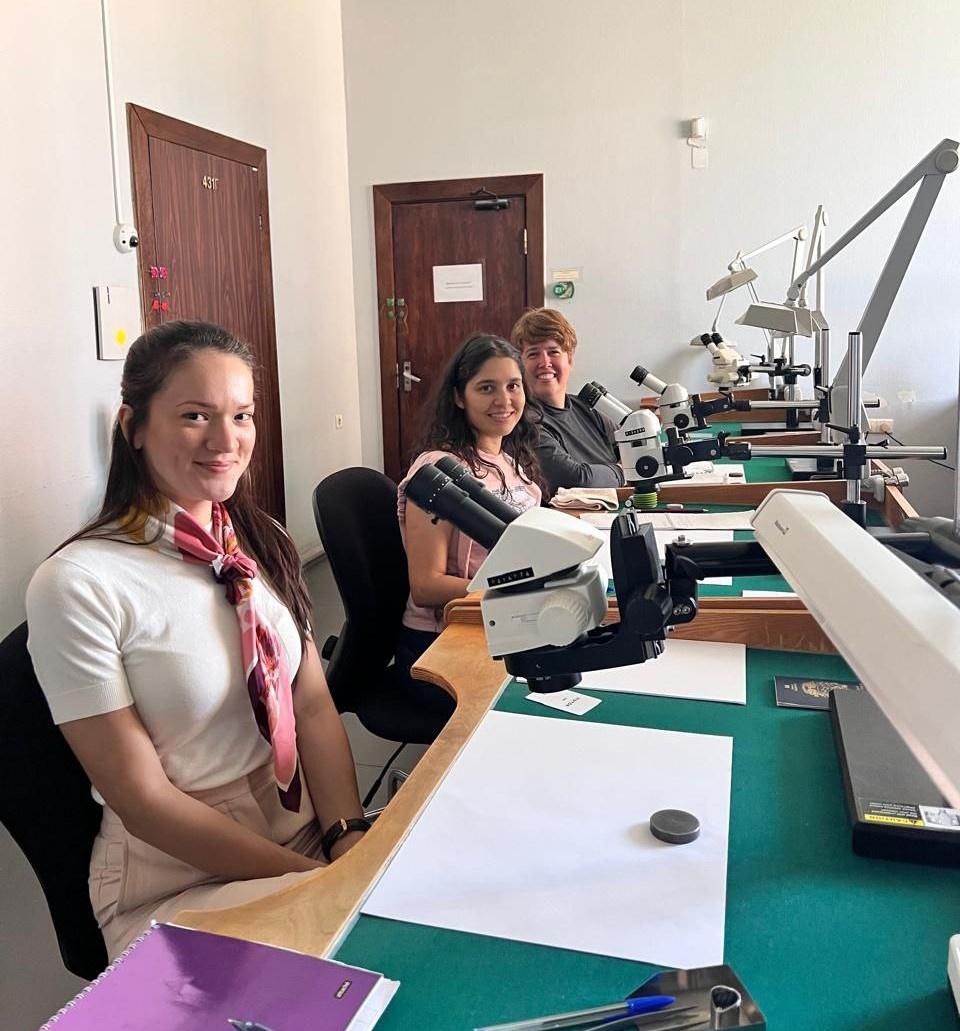 Эксперты из стран-партнёров по Кимберлийскому процессу впервые прошли обучение по геммологии в России