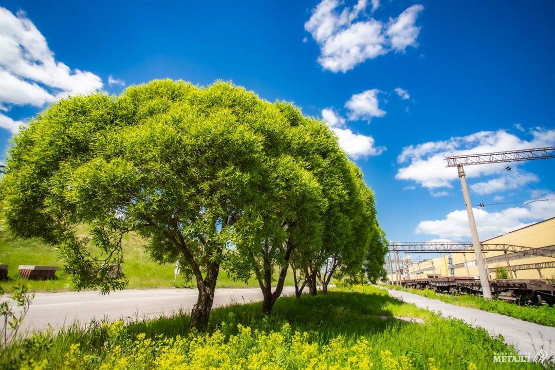 Как промплощадка превратилась в зелёный оазис?