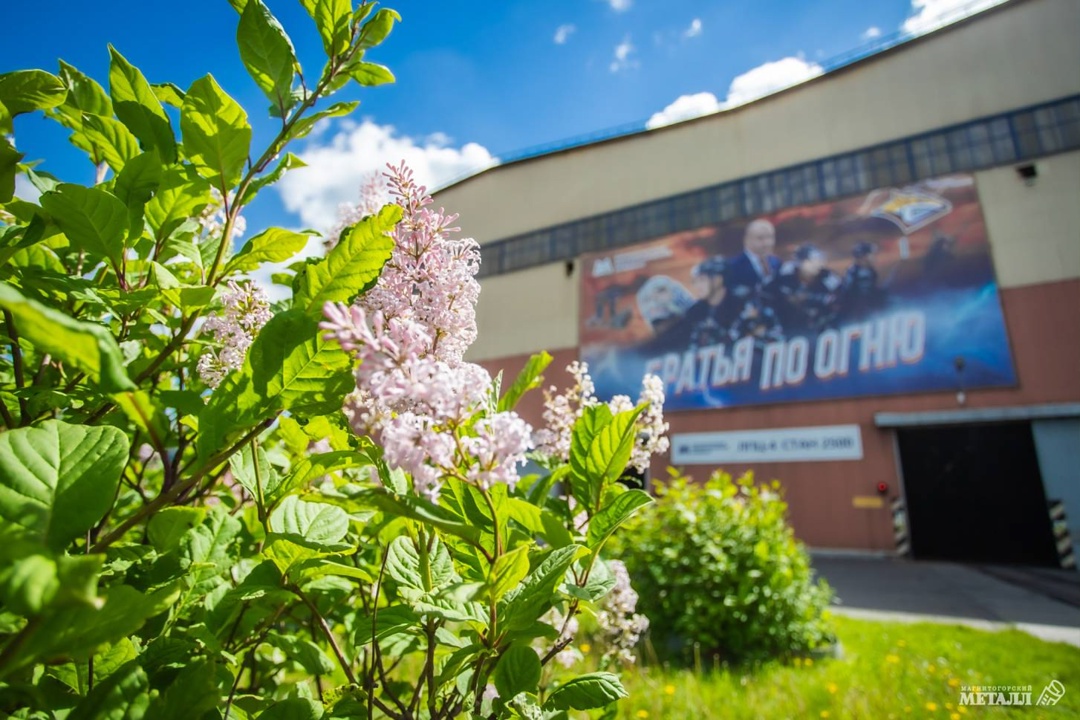 Как промплощадка превратилась в зелёный оазис?