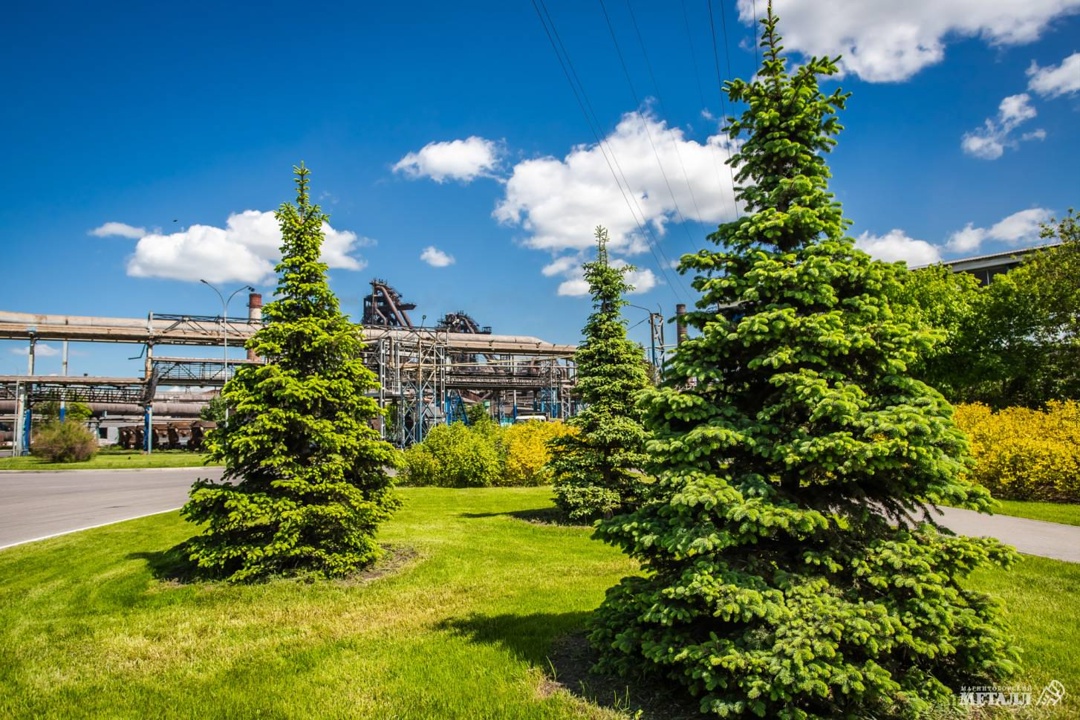 Как промплощадка превратилась в зелёный оазис?