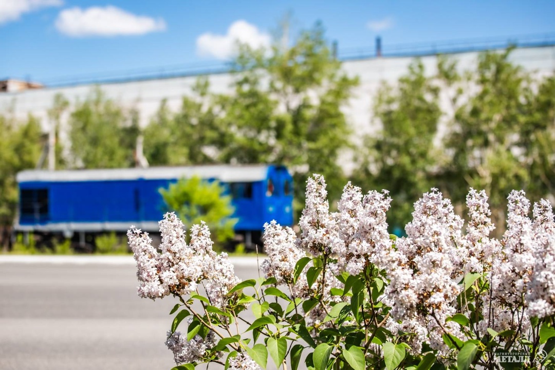 Как промплощадка превратилась в зелёный оазис?