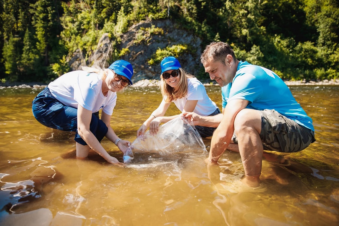 Выпустили около 70 тысяч мальков хариуса и тайменя!