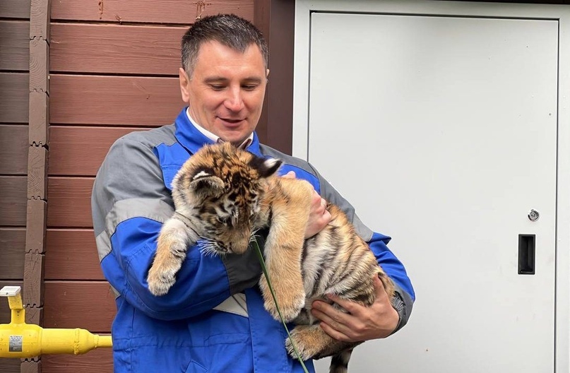 В Ленинградской области газифицировали единственный в России приют для тигров