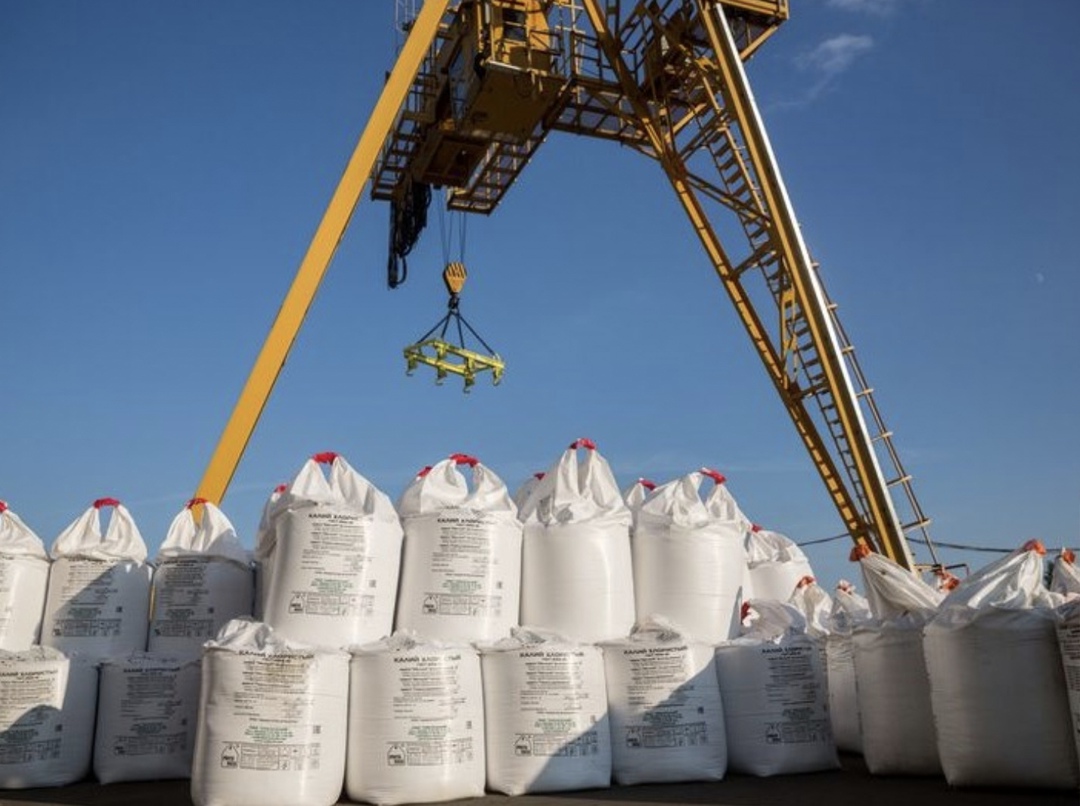 Россия намерена увеличивать поставки минеральных удобрений в страны БРИКС и глобального Юга, сообщил РИА «Новости» президент Российской ассоциации…