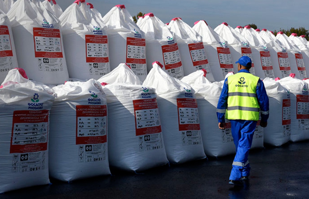 Потери европейских фермеров после ввода пошлин на российские удобрения и роста цен могут составить до 500 млн евро в год, при этом Россия будет наращивать…