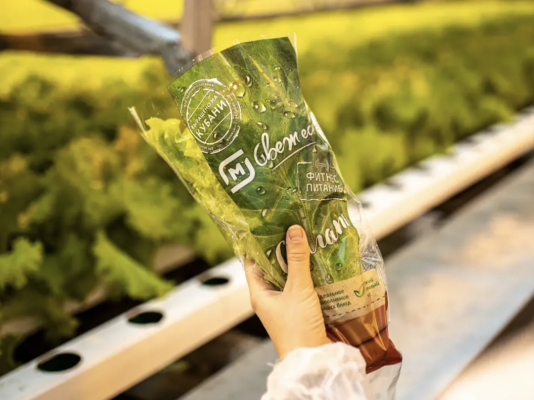 «Магнит» сообщил, что начал поставки в свои магазины зелени, выращенной в производственном комплексе «Зелень Юга». Это новое собственное предприятие ритейлера,…