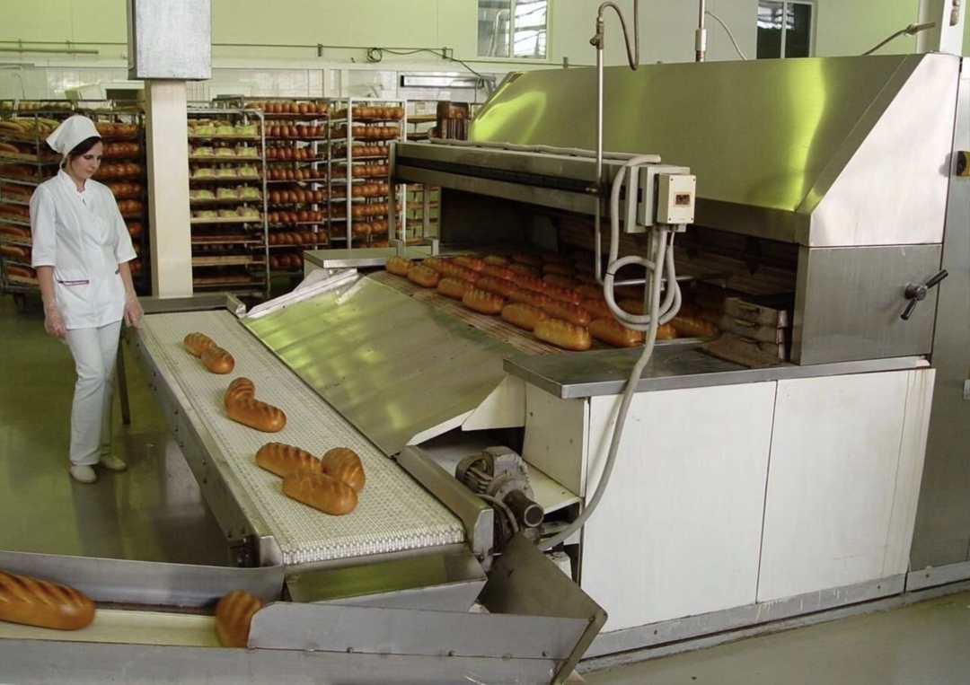 «Хлебозавод Юг Руси» (Ростов-на-Дону, ранее - одно из предприятий агрохолдинга «Юг Руси») выставлен на продажу за 850 млн руб