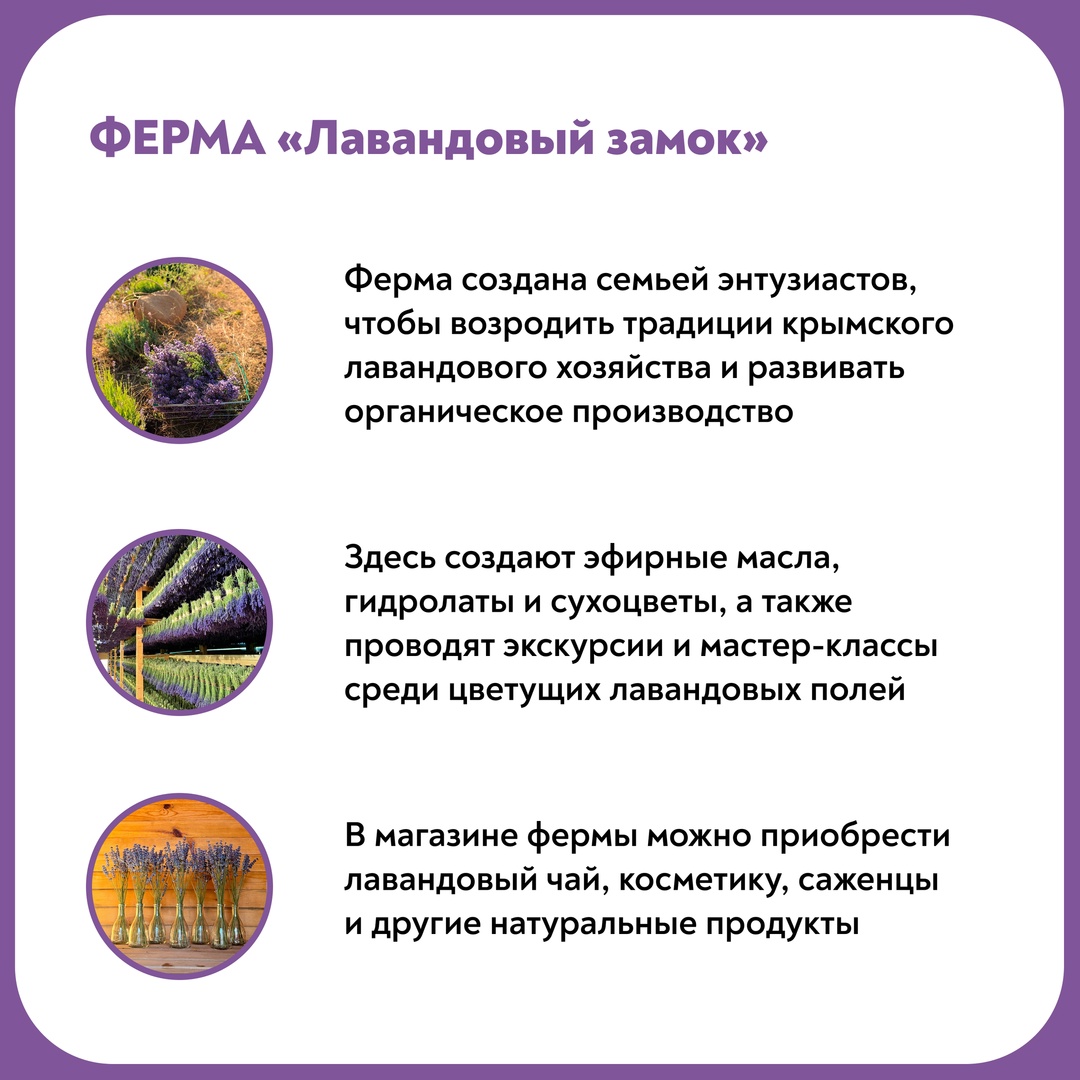 «Лавандовый фермер» – пример того, как искренняя любовь к своему делу превращается в смысл жизни