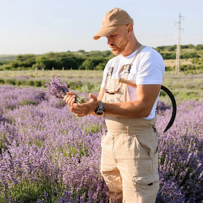 «Лавандовый фермер» – пример того, как искренняя любовь к своему делу превращается в смысл жизни