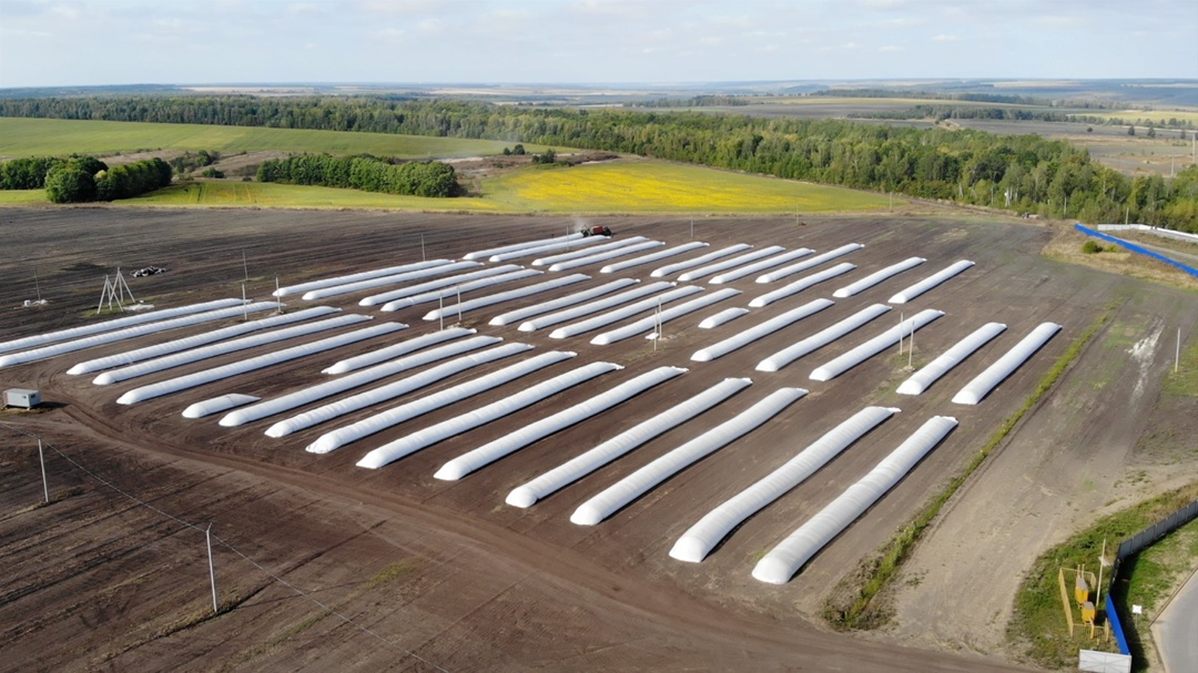 Эффективная конверсия корма и увеличение доходов