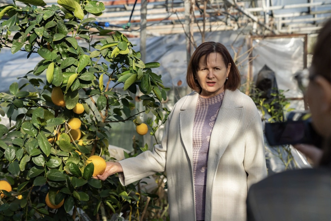 На базе Субтропического научного центра РАН в Сочи создается селекционно-семеноводческий центр субтропических, цитрусовых и орехоплодных культур