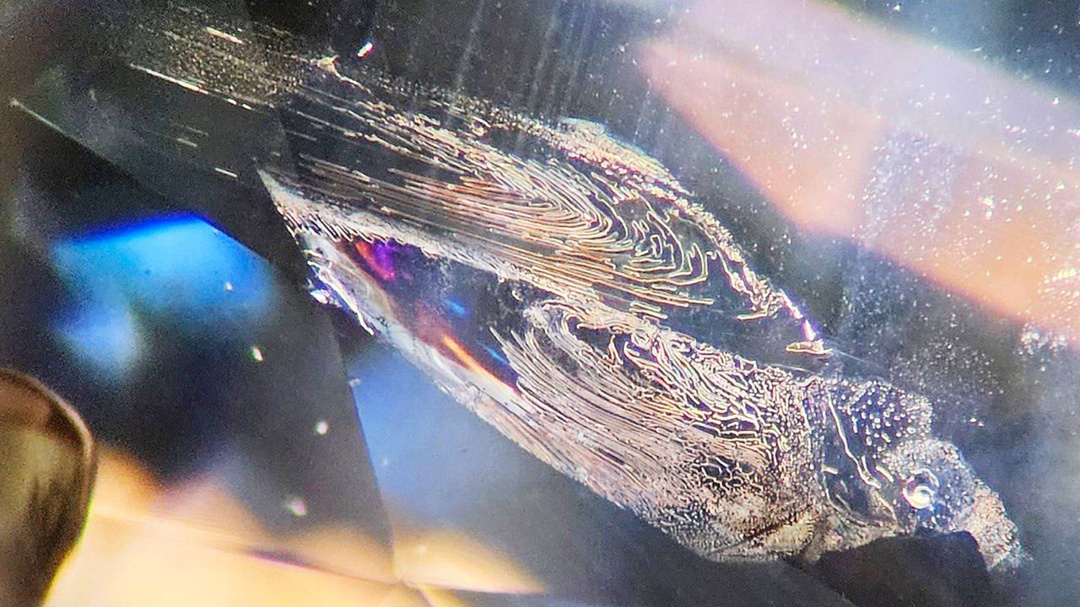 Включение-иллюзия в сапфире Еще одно доказательство того, что дефекты в природных драгоценных камнях часто напоминают настоящие полотна художников.