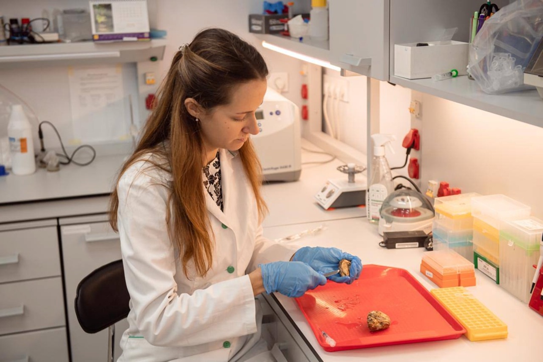 Глава Минобрнауки Валерий Фальков оценил развитие научно-образовательной сферы Севастополя